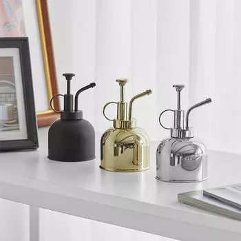 Мини-лейка из нержавеющей стали - ретро-бутылка-распылитель для суккулентов для домашних растений серебряный