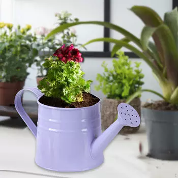Мини-металлическая лейка 24,5x11,5 см, садовое ведро, универсальный цветочный горшок в деревенском стиле, прочный для