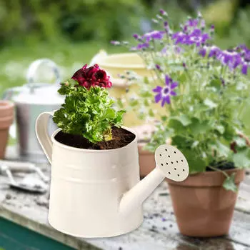 Мини-металлическая лейка 24,5x11,5 см, садовое ведро, универсальный цветочный горшок в деревенском стиле, прочный для