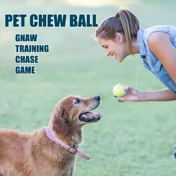 Мини-надувной мяч для кошек и собак, Lnteractive Ball Nip, игрушка для дрессировки собак, домашних животных, играющий в мяч, товары для домашних животных, игрушки для кошек