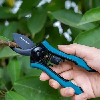Мини-ножницы для обрезки из нержавеющей стали, бытовые принадлежности, ножницы для фруктовых деревьев, инструмент для обрезки ветвей, садовый гаджет для рук, новый