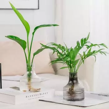 Мини-пластиковая ваза в современном стиле, образец прозрачных ваз, гидропонное растение, цветочный контейнер, украшение для гостиной, украшения стола