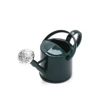 Мини-садовый чайник, жестяная лейка, садовое микроскопическое украшение серебряный