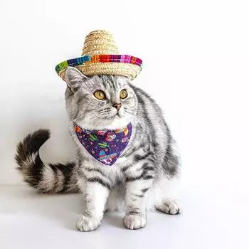 Мини-шляпа от солнца Sombrero для собак и кошек, костюм для щенка, шляпа для питомца, товары для животных, кепка для собак, головной убор для собак A