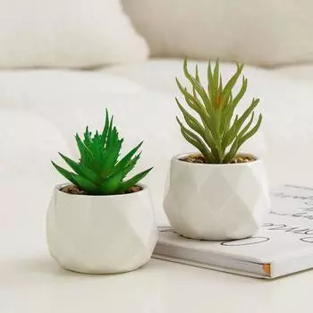 Мини-суккулентные растения, искусственные растения, имитация бонсай, реалистичный искусственный суккулентный бонсай для офиса Style 5