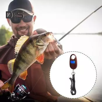 Мини-захват для рыбы с электрическими весами 25 кг, захват для рта и губ с цифровыми весами, зажим для контроля рыбы, щипцы для ловли рыбы, рыболовные принадлежности кофейный