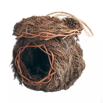 Миниатюрная фигурка яйца попугая, сказочное украшение для сада, бонсай, современное для офиса, патио, снаружи, на открытом воздухе