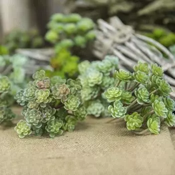 Миниатюрное искусственное суккулентное растение, реалистичное маленькое горшечное суккулентное украшение, искусственное зеленое растение для домашнего офиса, декор