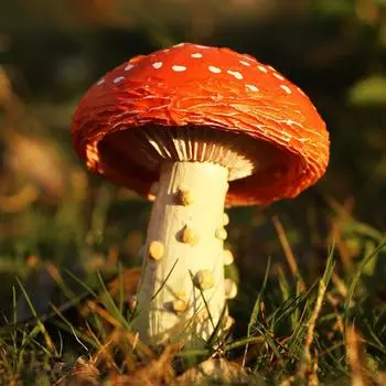 Миниатюрные грибы, садовые украшения, статуэтки из смолы, фигурки для патио, двора, самодельные феи, растения в горшках, украшение для уличного бонсай ярко-розовый