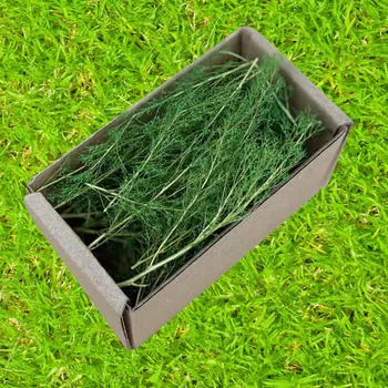 Миниатюрный сказочный сад с травяным ландшафтом для пейзажа железнодорожного поезда своими руками White