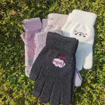 Mink Velvet Touch Screen Smiley Plus Velvet Thickened Cold-proof Warm Gloves one size fits all