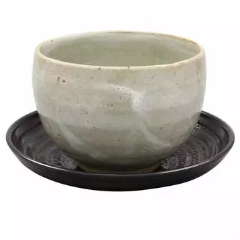Mino ware loose bowl (with teacup) Powder tataki Made in Japan 503-08