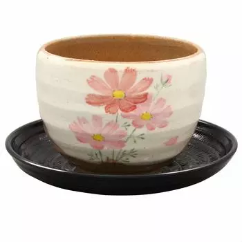 Mino ware loose bowl (with teacup), powdered cosmos, made in Japan 503-07