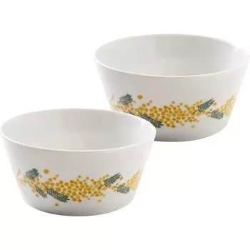 Minoru Pottery Mino Ware 105 Pack Bowl Set of 2 PLANTAREE-mimosa-