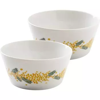 Minoru Pottery Mino Ware 130 Pack Bowl Set of 2 PLANTAREE-mimosa- 13.0cm
