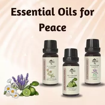 Мир - Эфирное масло лаванды, бергамота, ромашки Ароматерапия для снятия стресса Pack = 15 ml