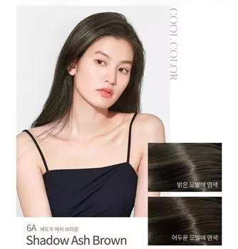 Mise En Scene Salon Plus Clinic 10, #6A Shadow Ash Brown