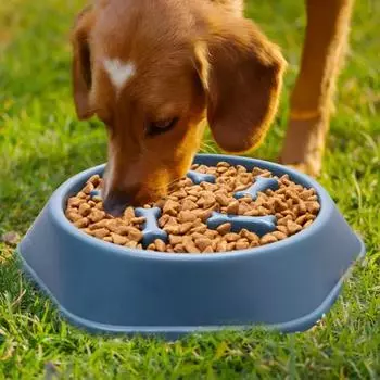 Миска для домашних животных Anti Choking Pet Миска для медленного питания Pet Миска для щенков Нескользящая кормушка Slow Food Миска для риса для собак Товары для животных Anti Choking Pet Миска для домашних животных