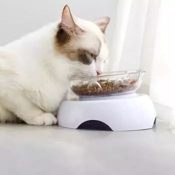 Миска для домашних животных, собак и кошек, нескользящая, прозрачная, для медленного питания, одиночная, для кормления домашних животных, защита шеи, наклонная поилка на 15°, товары для животных