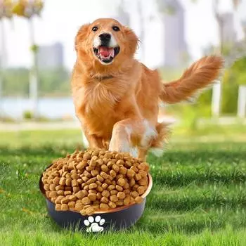 Миска для кормления кошек из нержавеющей стали, пластика, нескользящая, одинарная миска, поднос для еды и питья, кормушка