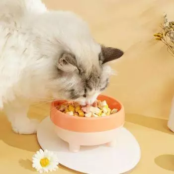 Миска для кошек большого диаметра, миска для корма для собак премиум-класса, миска для поения собак, станция кормления домашних животных жёлтый