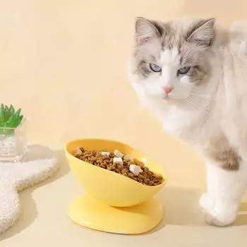 Миска для кошек и собак Креативная наклонная миска для кормления котят и щенков Защитная подставка для шеи Поилка для кошек Аксессуары для домашних животных зелёный