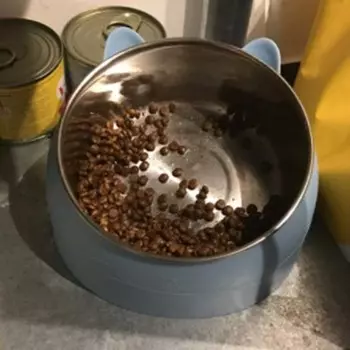 Миска для кошек из нержавеющей стали, миска для собак, двойная миска, защита шейного отдела позвоночника, наклонная миска для корма для домашних животных, принадлежности для кошек
