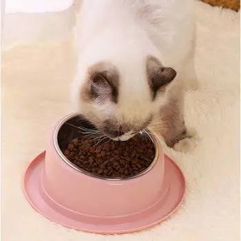 Миска для кошек из нержавеющей стали, Нескользящие наклонные миски для кошачьей еды, приподнятые миски для кошек, миски для кормления домашних животных для щенков