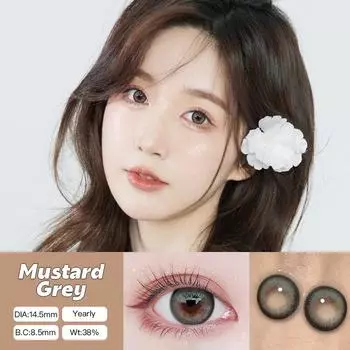 Миссис Х 2 шт.(0~-8.00) Контактные линзы Барби коричневого и серого цвета с большими глазами, натуральные мягкие линзы для ежегодного использования, 14,5 мм -3.25