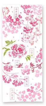 Miyamoto Towel Kenema Cherry Blossom Encyclopedia Hand Approximately 35 x 90 White (Miyamoto-towel) Towel, Pink, cm, 50178,