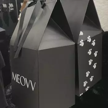 Miyao s Debut Pop-up Keyring