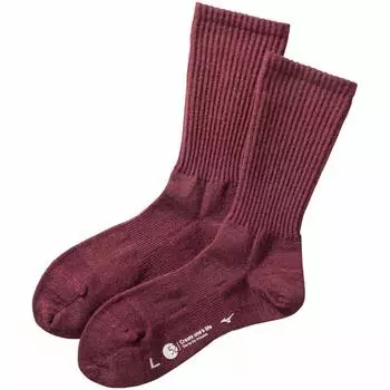 Mizuno Go to by B2JX9701 Breath Thermo Wool Thin Socks for Outdoor and Perfect for Trekking and Sizes cm Women s Activities, Moisture-Wicking