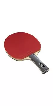 Mizuno НАБОР ДЛЯ НАСТОЛЬНОГО ТЕННИСА Модель Entry 83JTT698 TECHNIX/ROOKIE