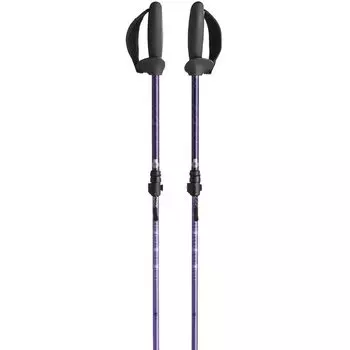 Mizuno Складные палки для ходьбы Nordic Walk SH 2 пары 1 комплект унисекс фиолетовый C3JTP110 фиолетовый