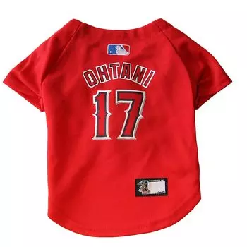 MLB ЛОС-АНДЖЕЛЕС АНГЕЛС Собака