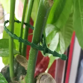 Многоцелевой пояс для галстука Fishbone Green Garden Single nude зелёный