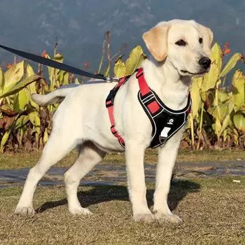 Многофункциональная шлейка для домашних животных, тонкая работа, удобные аксессуары, шлейка для жилета для собак S озеро синий