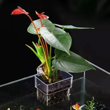 Многофункциональный аквариум для рыб, чаша для посадки травы, изоляционный ящик для разведения, аквариум для гидропоники, озеленение аквариума