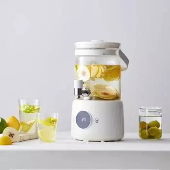 Многофункциональный электрический чайник 220 В для кемпинга, вина, чая и здоровья, с регулировкой температуры 220V