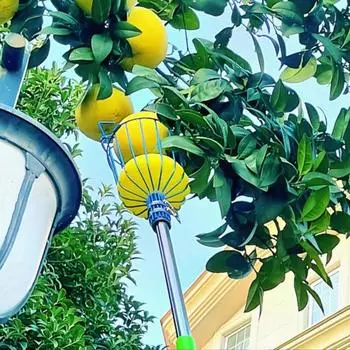 Многофункциональный фруктосъемник Многосекционный фруктосъемник с корзиной Регулируемая длина Нержавеющая сталь XL красный