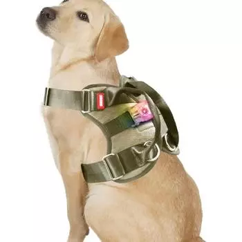 Многофункциональный жилет для собак, без тяги, без дросселя, регулируемый и безопасный, с быстросъемной пряжкой и D-образным кольцом для средних и больших размеров. S чёрный