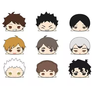 Mochimochi Mascot WA BOX, все 9 видов, полный набор японских товаров Mochimasu, 2-е издание, Haikyu!! т.2
