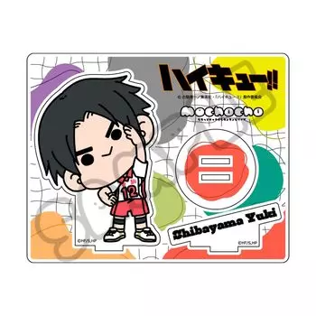 Мочочо 4-й акриловый стенд M NC Haikyu!!« [Юу Сибаяма] План для всех!