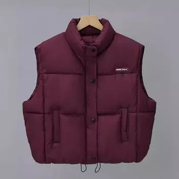 МОДА Ветронепроницаемый жилет из хлопка женский 2024 осень-зима новый воротник-стойка маленький короткий утолщенный жилет из хлопка жилет Одежда M