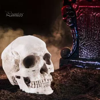 Модель черепа, реалистичная съемная челюсть, образовательная модель человеческого черепа, учебный реквизит на Хэллоуин, обучающие принадлежности серый