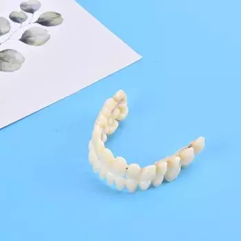 Модель обучающего зуба Модель обучающего зубного протеза