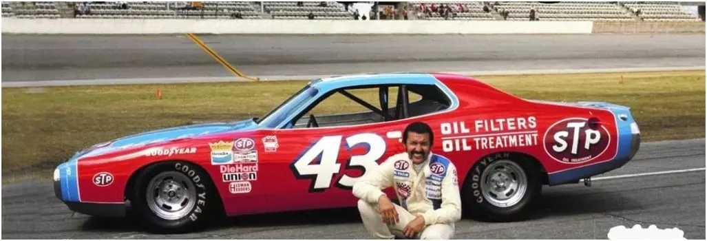 Модель Salvinos NASCAR 1973 Dodge Charger Richard Petty Пластиковая модель SJMRPDC1973D JR 1/25
