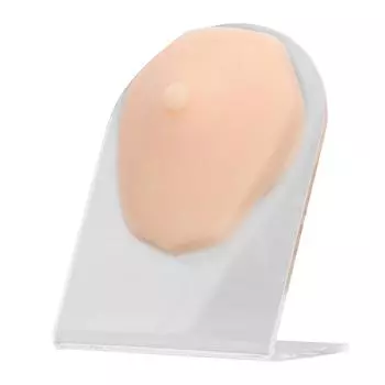 Модель силиконовой соски, одиночная мягкая 3D модель человеческого соска с акриловым держателем для практики пирсинга