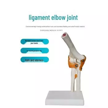 Модель скелета человека с 6 основными суставами: Колено, Стопа, Кисть, Плечо, Локоть и Бедро