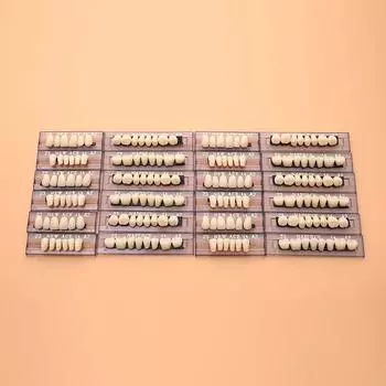 Модель зубного протеза из синтетического полимера